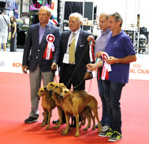 Miglior gruppo del sig. Mattiello al raduno di razza tenutosi durante il WDS 2015.