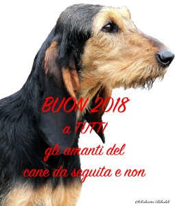 Buon anno