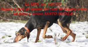 Natale 2017 sips Lecco