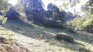 IMG-20180804-WA0005