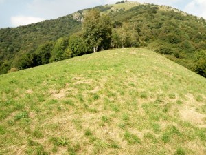 IMG-20180808-WA0003