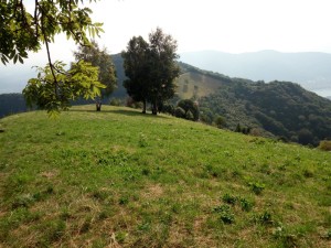IMG-20180808-WA0007